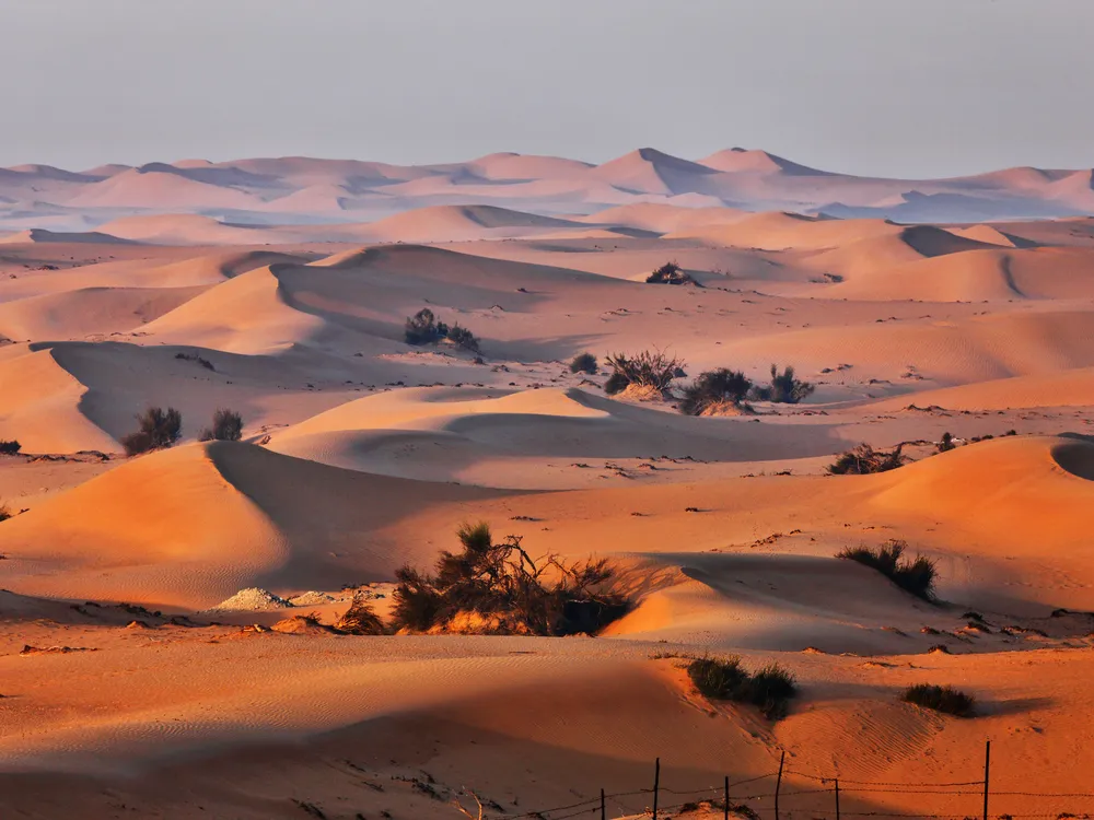 Sand dunes in Arabian desert