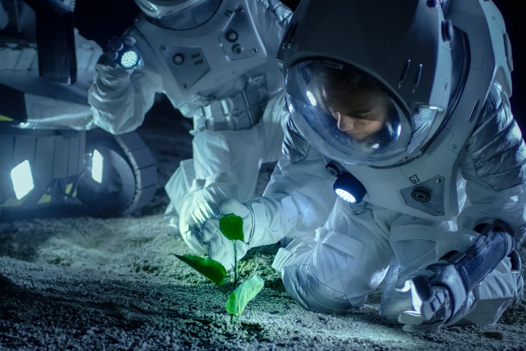 astronaut looks at healthy plant sprouting out of the ground on the Moon