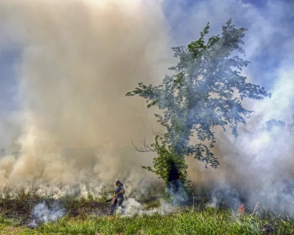 Controlled Prairie burn thumbnail