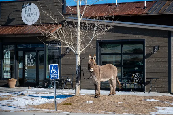 Handicap Parking thumbnail