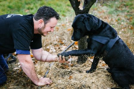 Jayson Mesman and his truffle hunting dog Samson hard at work at The Truffle Farm. 