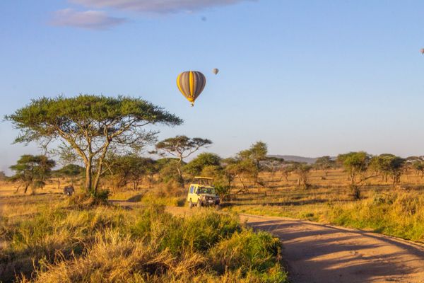 A hot air balloon over a "Landie" on a morning drive in Serengeti National Park thumbnail