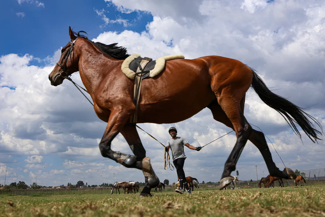 Student Karabo Moraka lunges his horse before a lesson. Moraka has ridden at the center for ten years and hopes to one day compete at the national level.