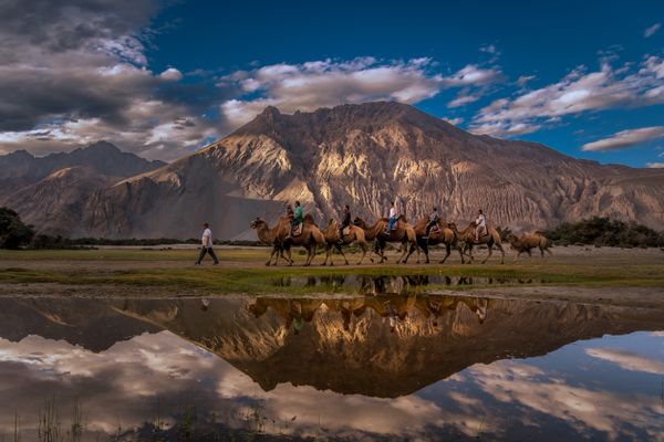 Reflection of people taking double humped camel ride thumbnail