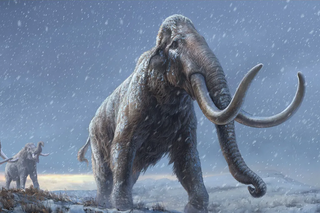 Steppe Mammoths