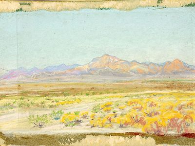 Howard Russell Butler, Desert Landscape (#69), n.d., pastel on paperboard, Smithsonian American Art Museum, Gift of Howard Russell Butler, Jr., 1978.65.4
