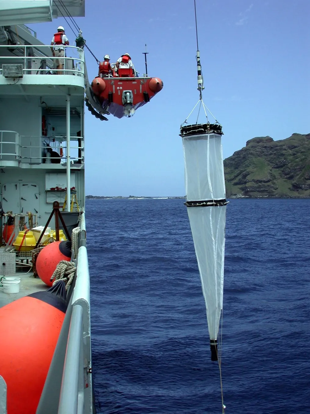 An Ode to Zooplankton, the Hidden Heroes of the Sea, Smithsonian Voices