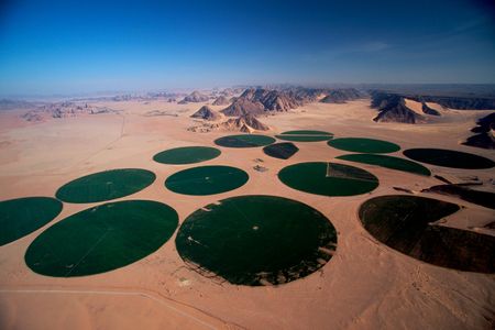 Crops certainly can be grown in the popular Hollywood stand-in for Mars, the valley Wadi Rum in southern Jordan.