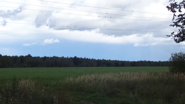 Before the Storm thumbnail