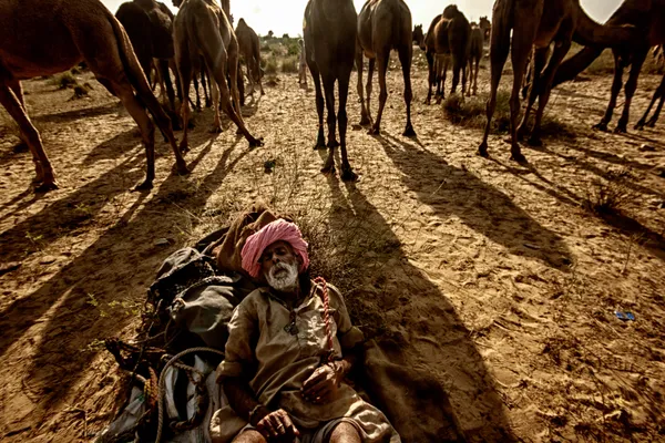 Shepherd in rest thumbnail