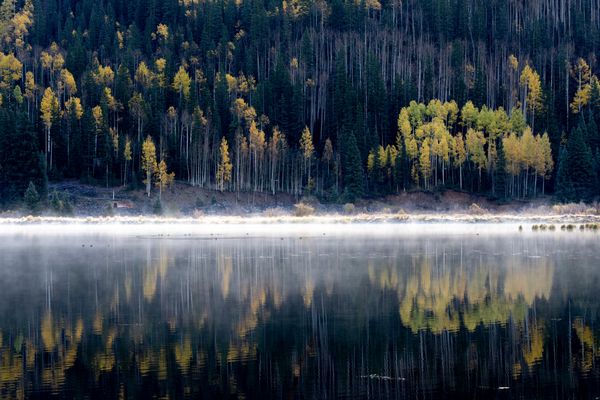 Reflection of Aspens and mist on the Crystal Lake, Colorado thumbnail