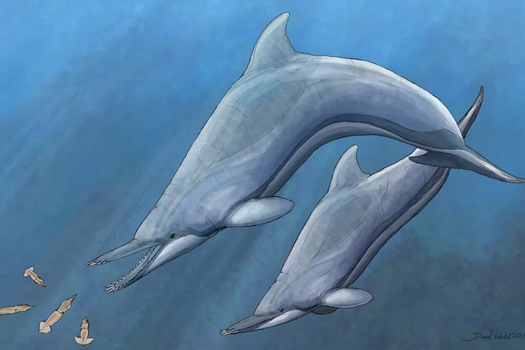 Ancient dolphins with tusk-like teeth