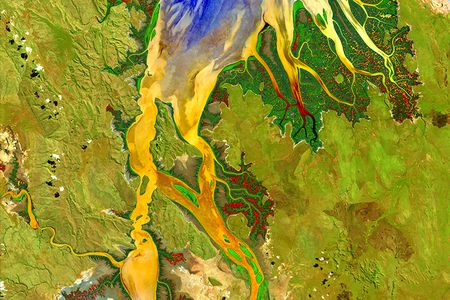 Water spreads like inky-blue fingers into mangrove forests along the shore of Australia's Ord River (top). The sediment load in the water shows up as yellow and orange while mudflats stick out like a light blue bull's-eye on the lower left.