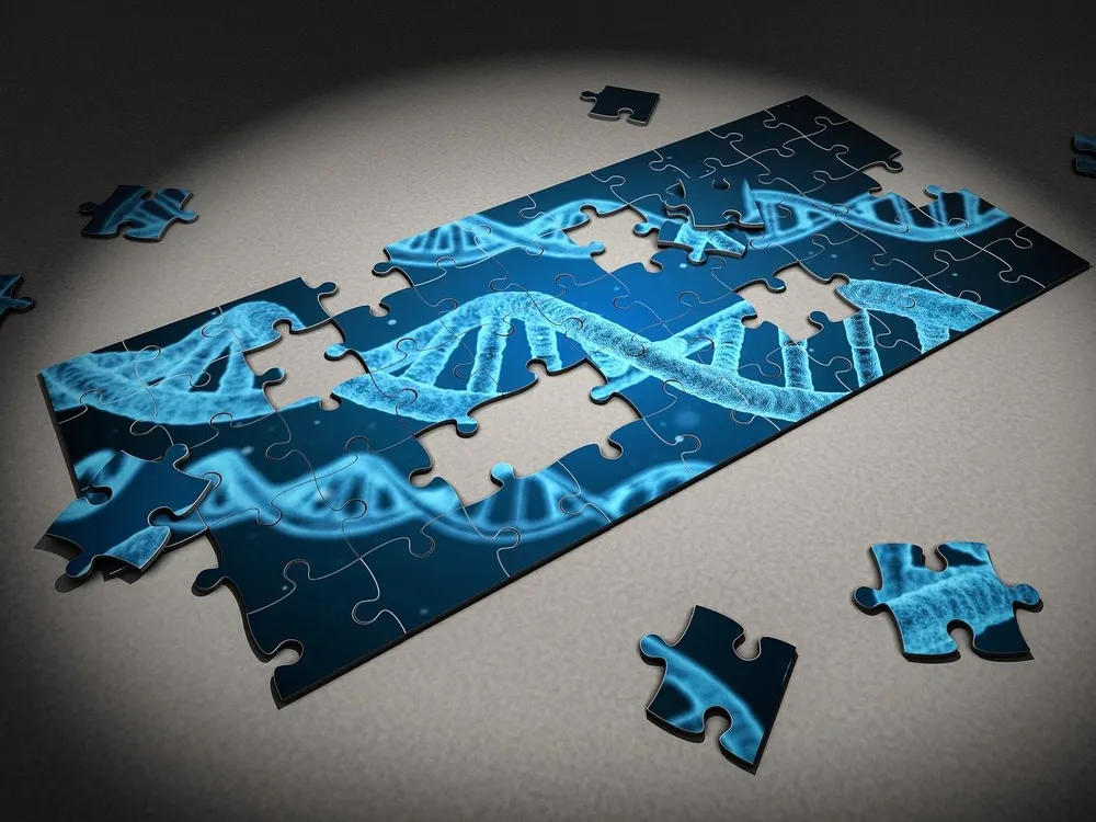 Scientists plan to piece together the genetic code of all plants, animals, fungi and protists within the next ten years as part of the Earth BioGenome Project.