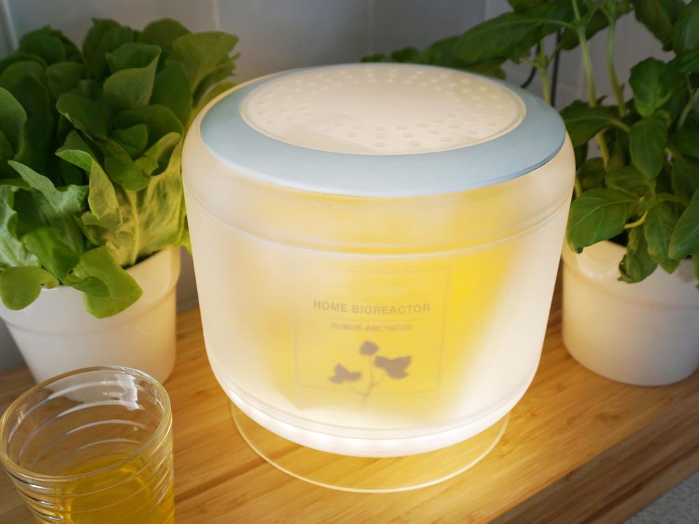 A home Bioreactor in home enviorment. Working also as plant ligth for herbs Photo By Niko Räty.jpg