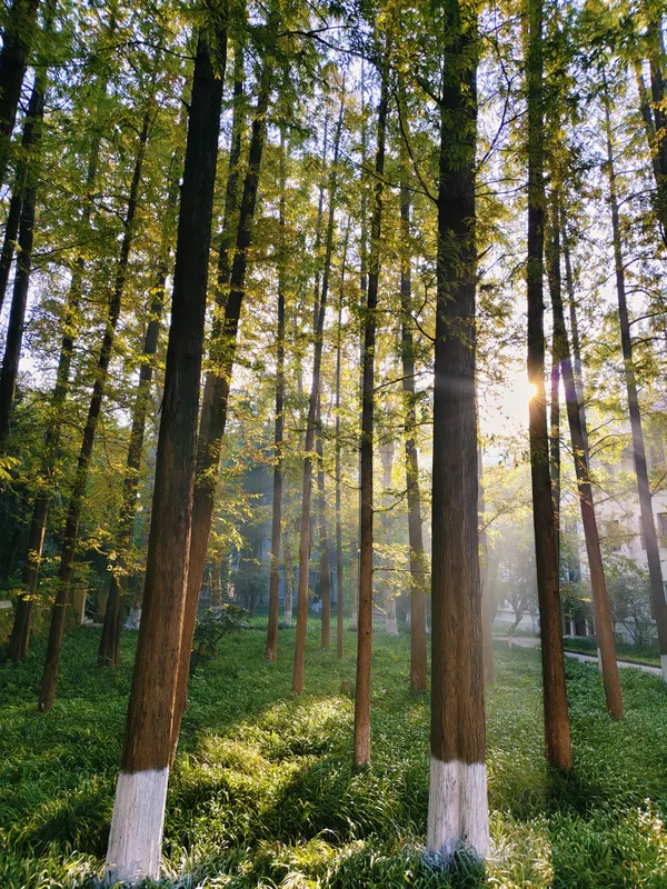 she is still thumbnail