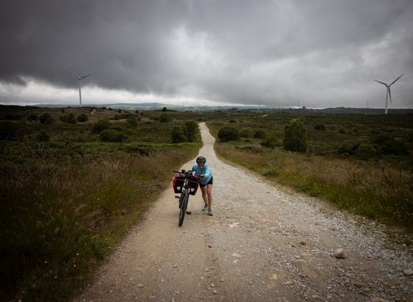 Paula Pedals (sometimes) thumbnail