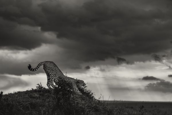 The Stretch Before the Storm thumbnail