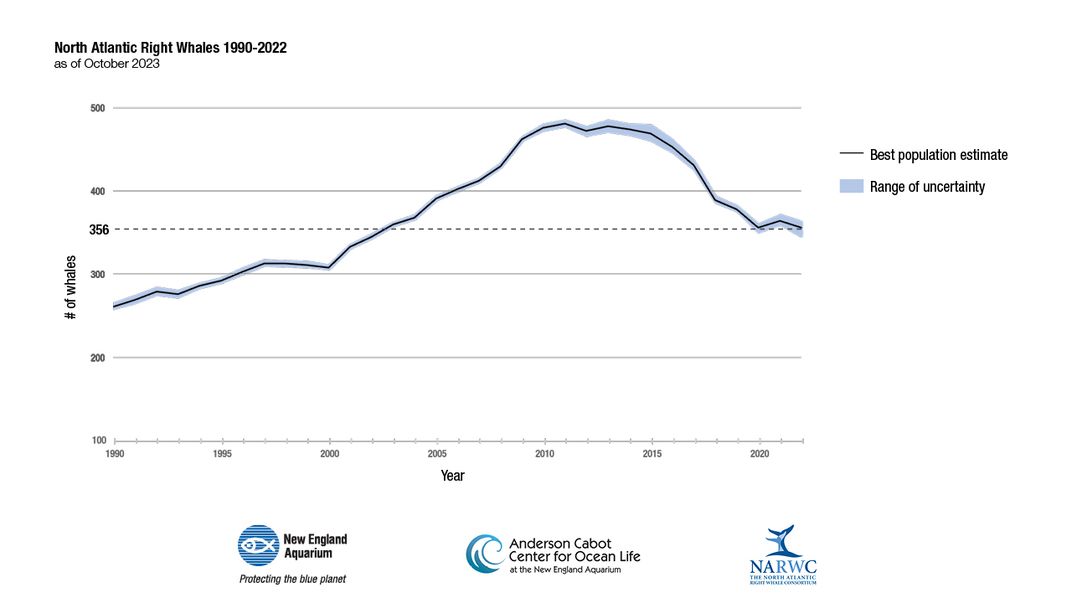 Graph showing North Atlantic right whale numbers