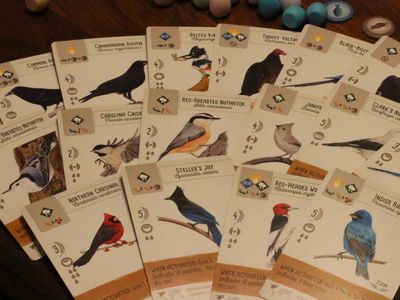 Expansion packs featuring birds of every continent are currently in the works