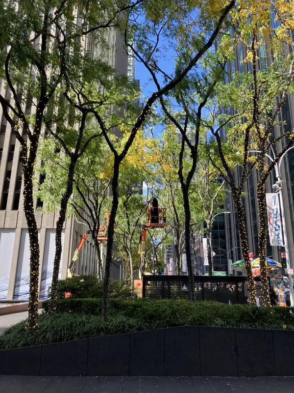 Stringing lights thumbnail