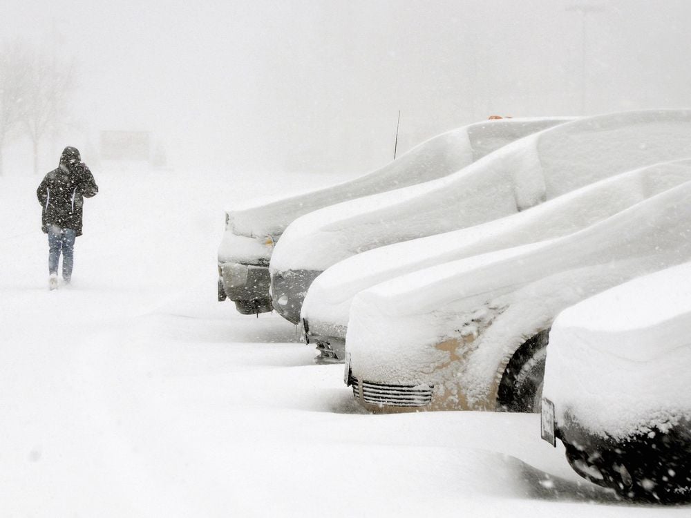 snow-buried cars