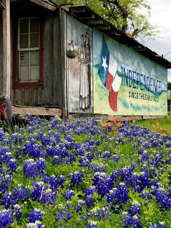 Springtime in Texas thumbnail