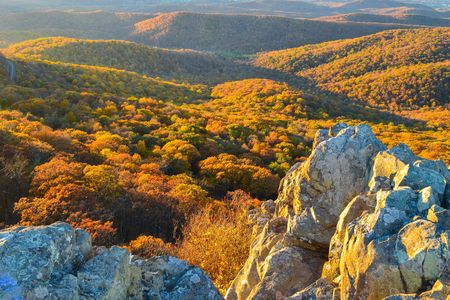 Fall in Charlottesville.