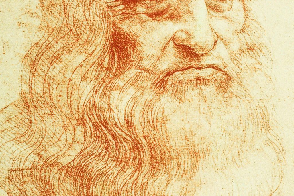 Leonardo Portrait