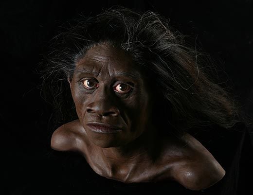 Homo floresiensis