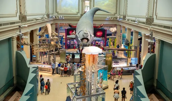 A museum with a large scale whale overtop and visitors exploring the exhibit