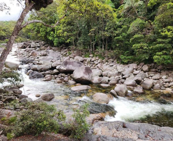 Mossman River in the Daintree Rainforest thumbnail