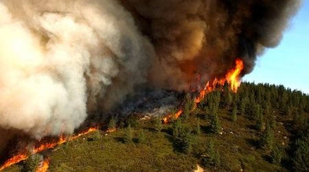 Computer models indicate that wildfires will become more frequent in temperate regions as the climate changes over the coming decades