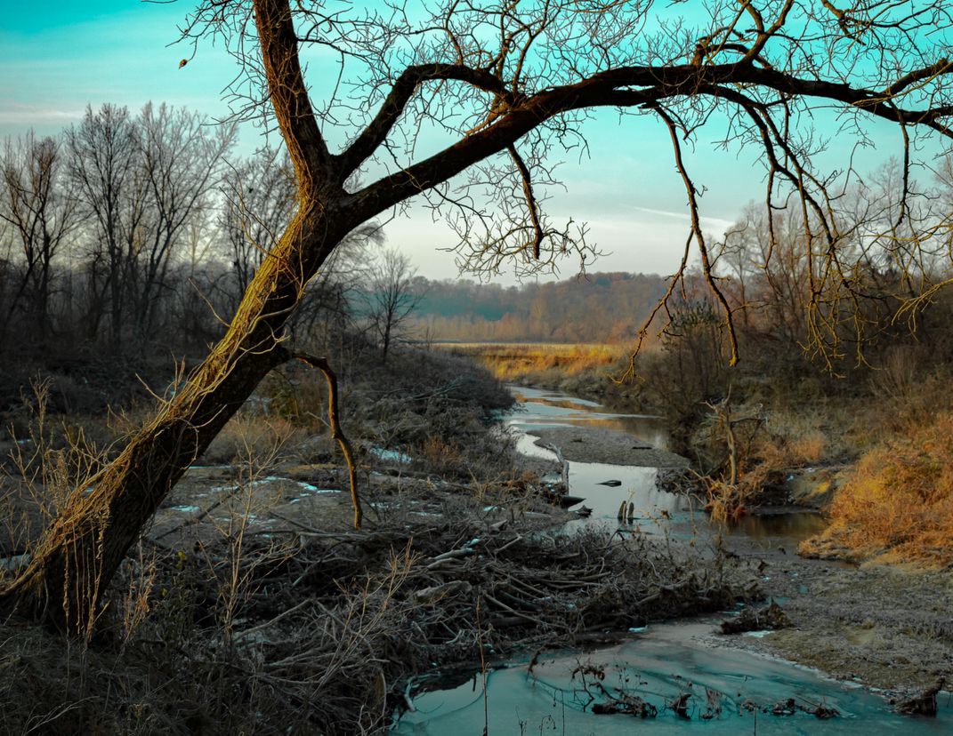 Tree on the Flint River | Smithsonian Photo Contest | Smithsonian Magazine