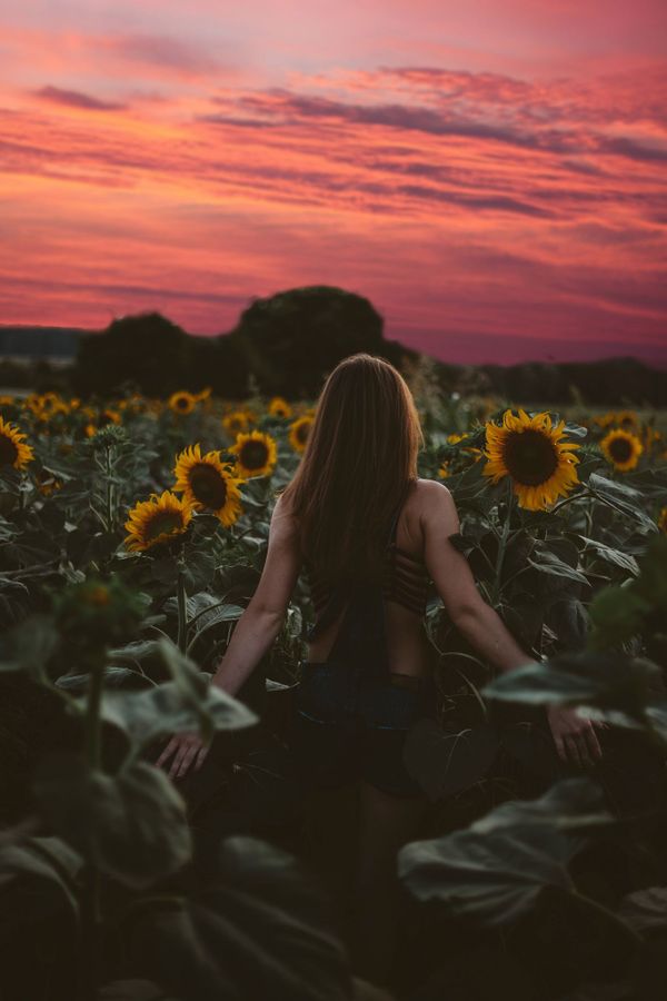 Girl among sunflowers thumbnail