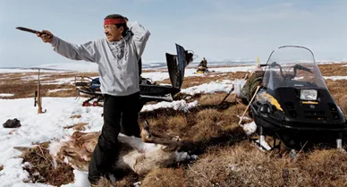 Raymond Tritt, 52, dresses a fallen bull on the spring caribou hunt. Like virtually every Gwich'in man, he still remembers every detail of his first successful hunt, four decades later. The 100,000-plus caribou of the Porcupine River herd are a focal point for the Gwich'in people: they are a main source of sustenance as well as the key element in the group's rituals, dances and stories. "If we lose the caribou," says a tribal elder, "we lose our way of life."