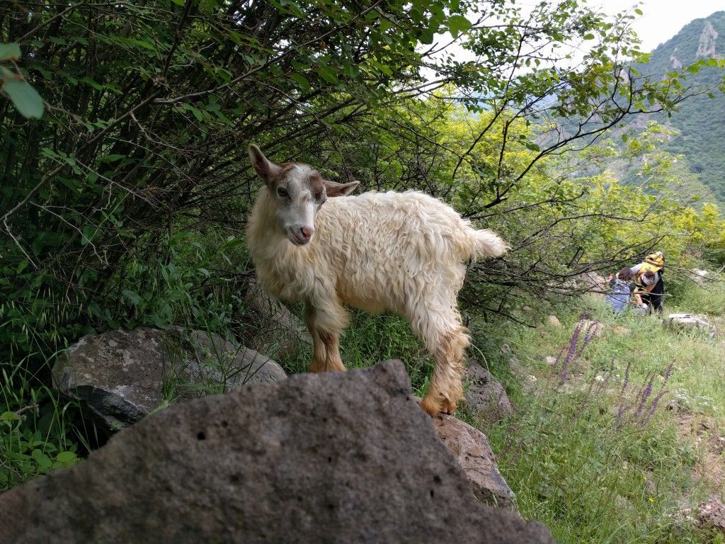 Hike Armenia