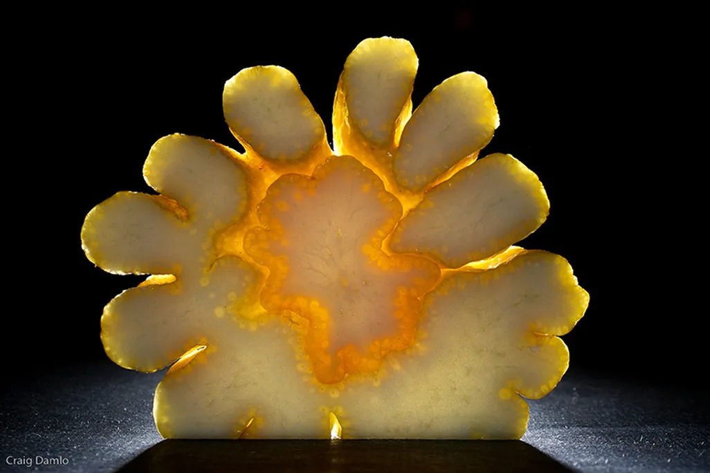 Buddha's hand