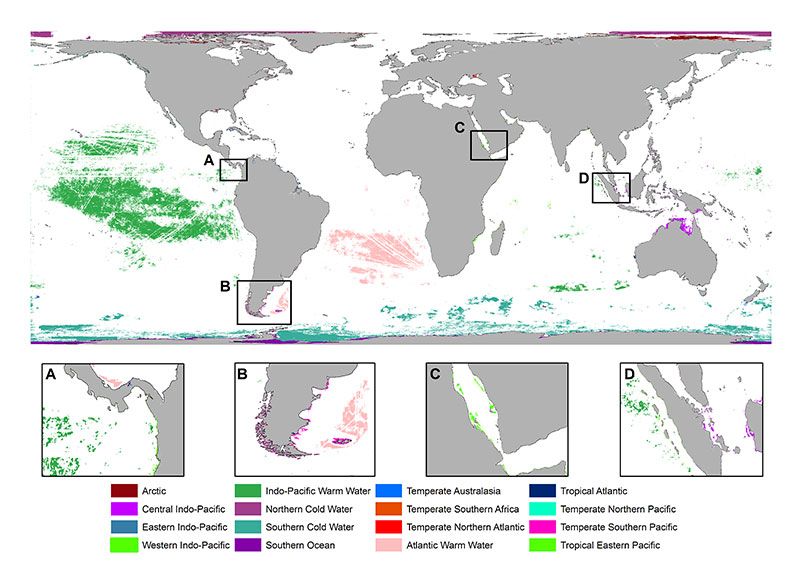 Why the Ocean Needs Wilderness