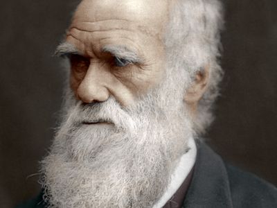 Charles Darwin: sailor, scientist, beard aficionado.