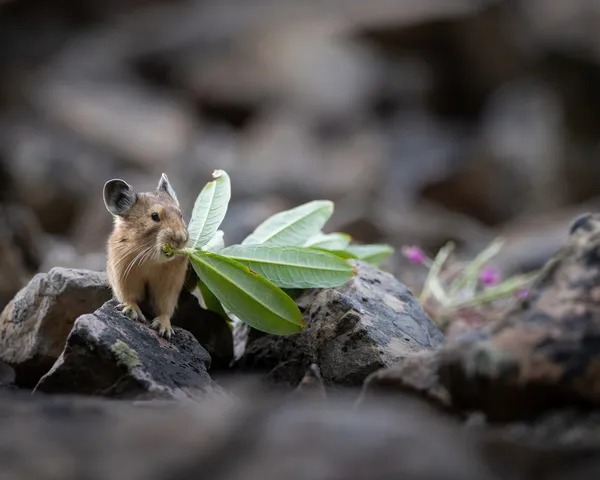 Heavy Lifting thumbnail