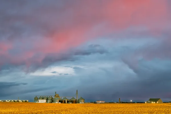 Kansas farm sunrise thumbnail