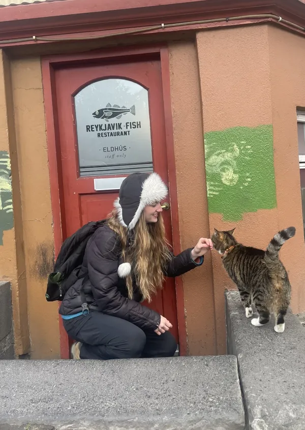 Convincing Cat Outside the Fish Restaurant thumbnail