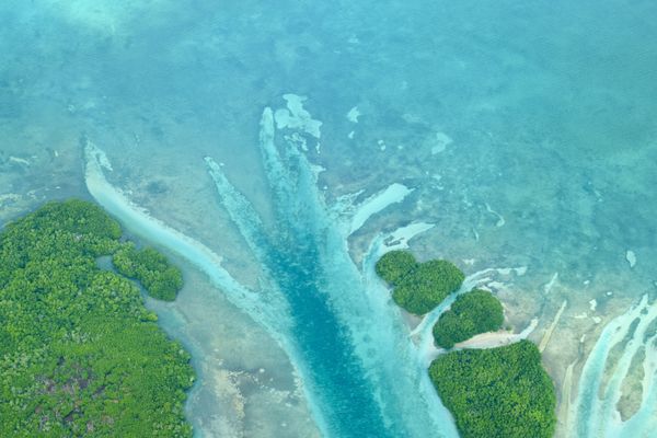 Crystal blue waters and lush green mangroves thumbnail