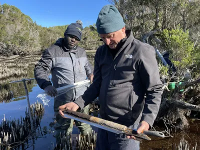 Researchers Uncover the Oldest Record of Humans Using Fire in Tasmania, Almost 2,000 Years Earlier Than Previously Known image