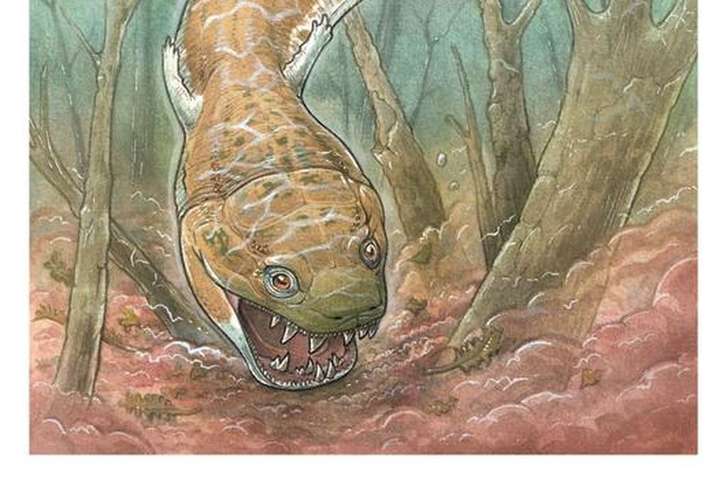 An artist’s rendering of Gaiasia jennyae