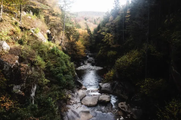 River in the White Mountains thumbnail