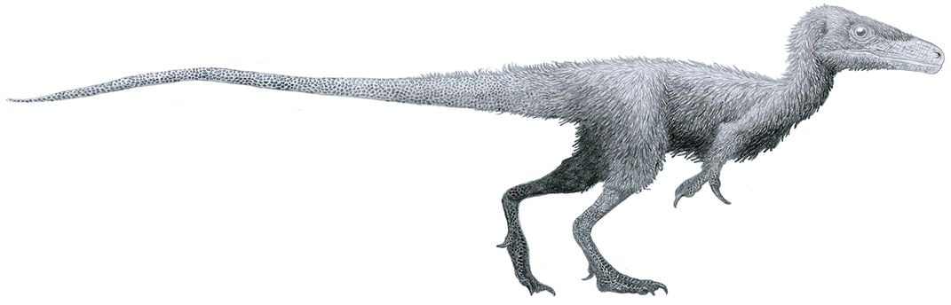 Juravenator