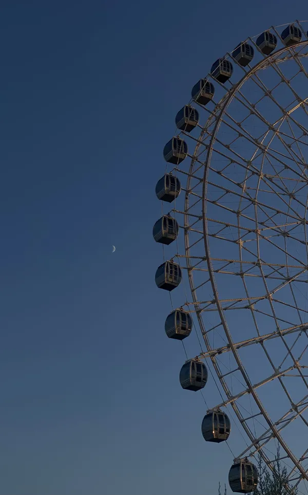 Moonlit Ferris Wheel thumbnail