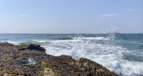 The Aggressive Intertidal Zone thumbnail
